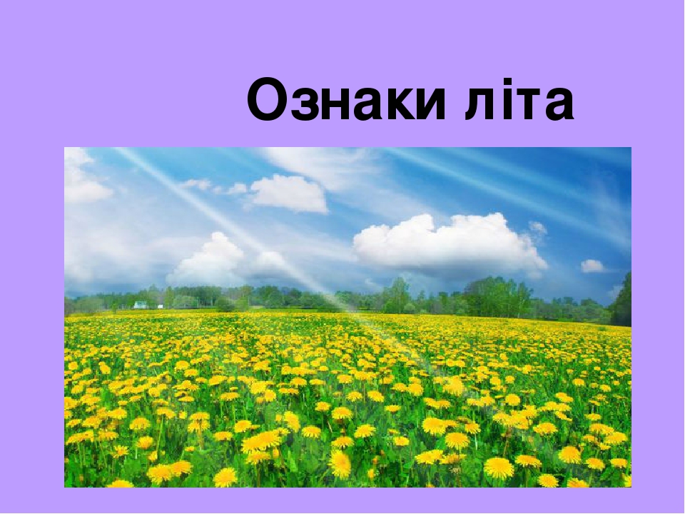 Ознаки літа