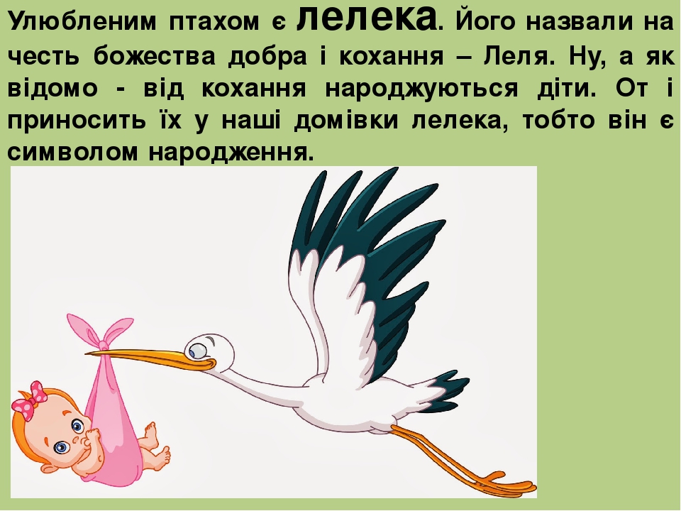 Улюбленим птахом є лелека. Його назвали на честь божества добра і кохання – Леля. Ну, а як відомо - від кохання народжуються діти. От і приносить ї...