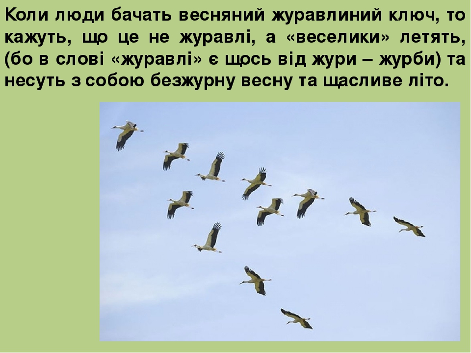 Приближается осень косяки журавлей впр. Перелетные птицы летят Журавли. Клин журавлей Стефашина. Клин перелетных птиц.