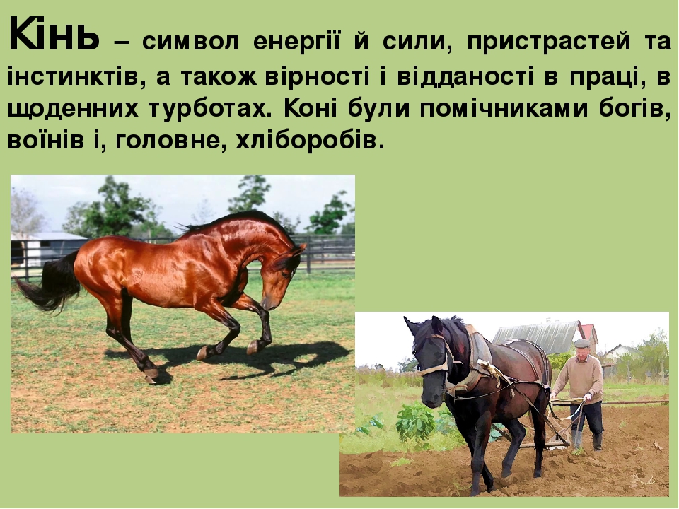 Кінь – символ енергії й сили, пристрастей та інстинктів, а також вірності і відданості в праці, в щоденних турботах. Коні були помічниками богів, в...