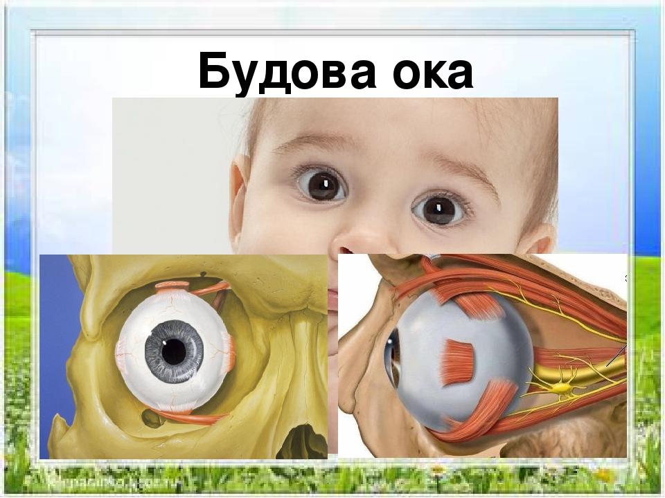 Схема на оку