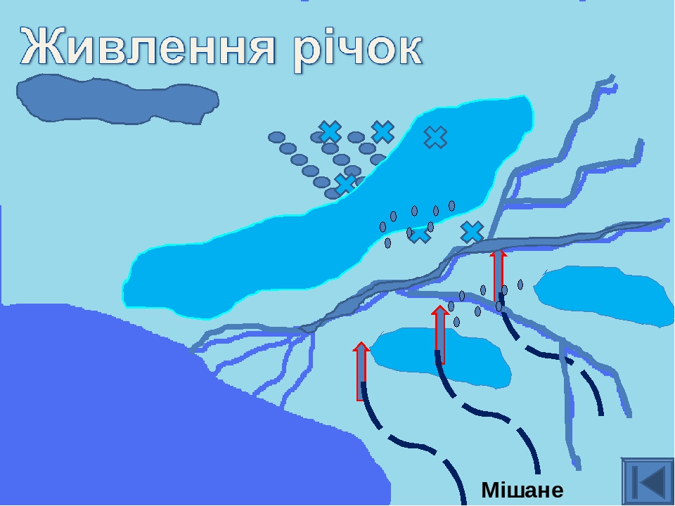 Будова річки