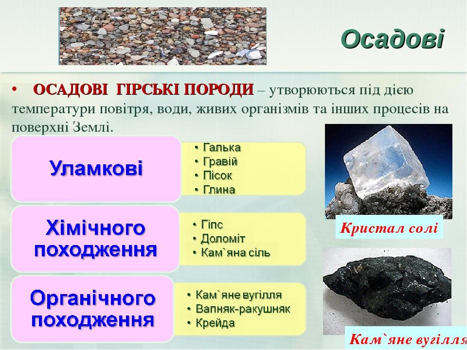 Осадові ОСАДОВІ ГІРСЬКІ ПОРОДИ – утворюються під дією температури повітря, води, живих організмів та інших процесів на поверхні Землі. Кам`яне вугі...
