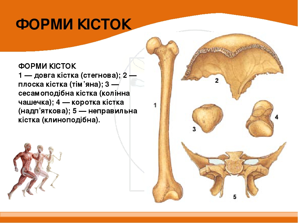 Урок 10