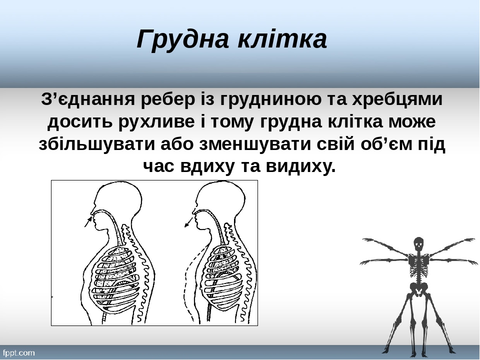 Урок 11