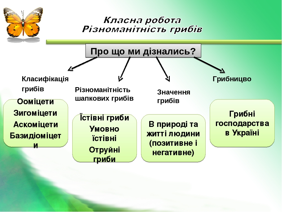 Різноманітність грибів