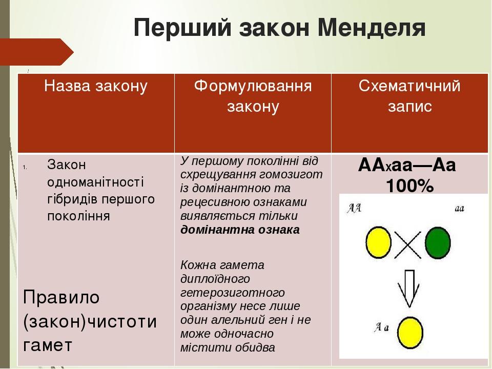 Закон менделя понятно