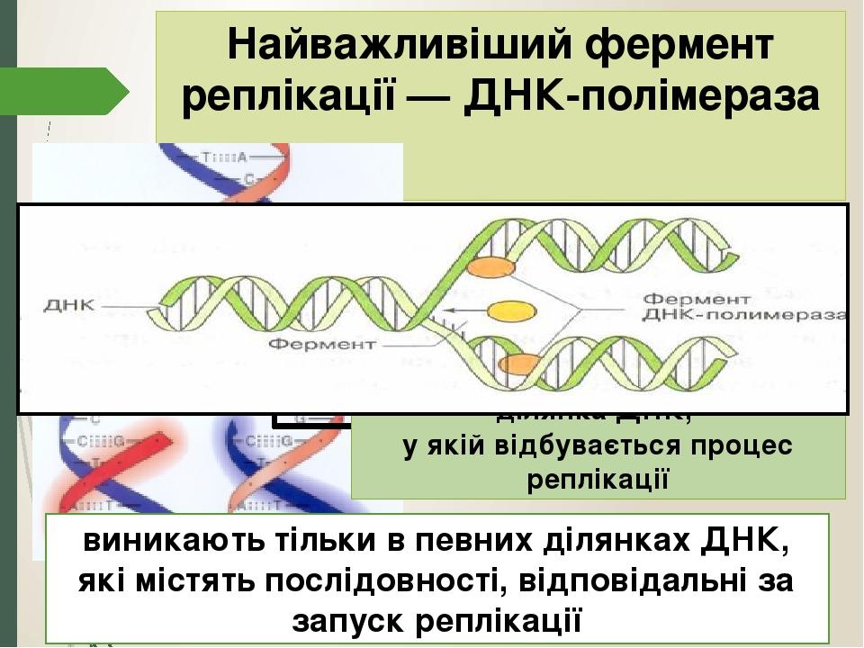 Dna отзывы