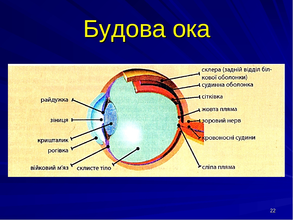 Око системы пво