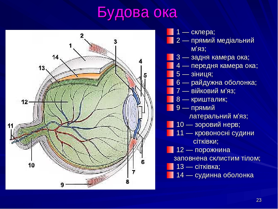 Око системы пво