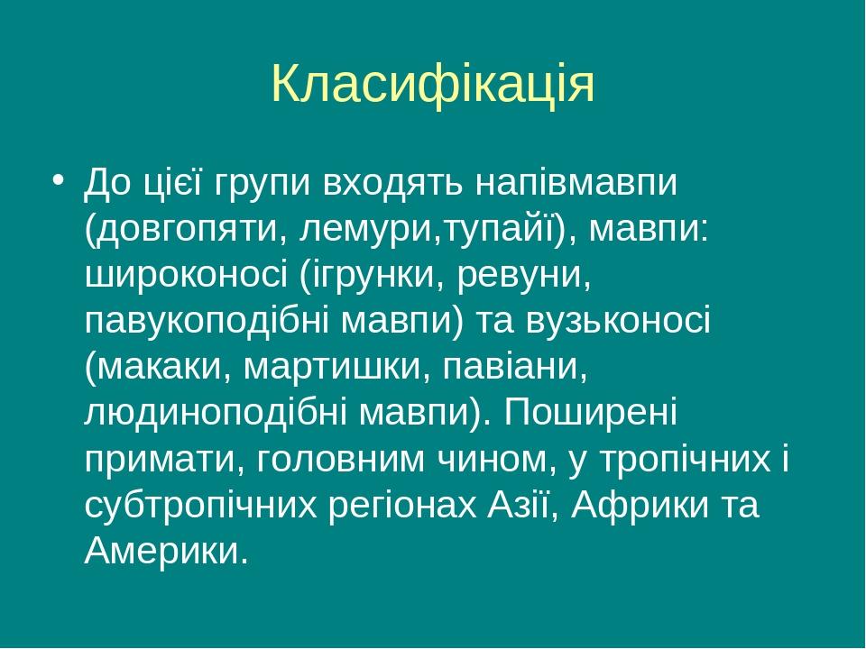Класифікація До цієї групи входять напівмавпи (довгопяти, лемури,тупайї), мавпи: широконосі (ігрунки, ревуни, павукоподібні мавпи) та вузьконосі (м...