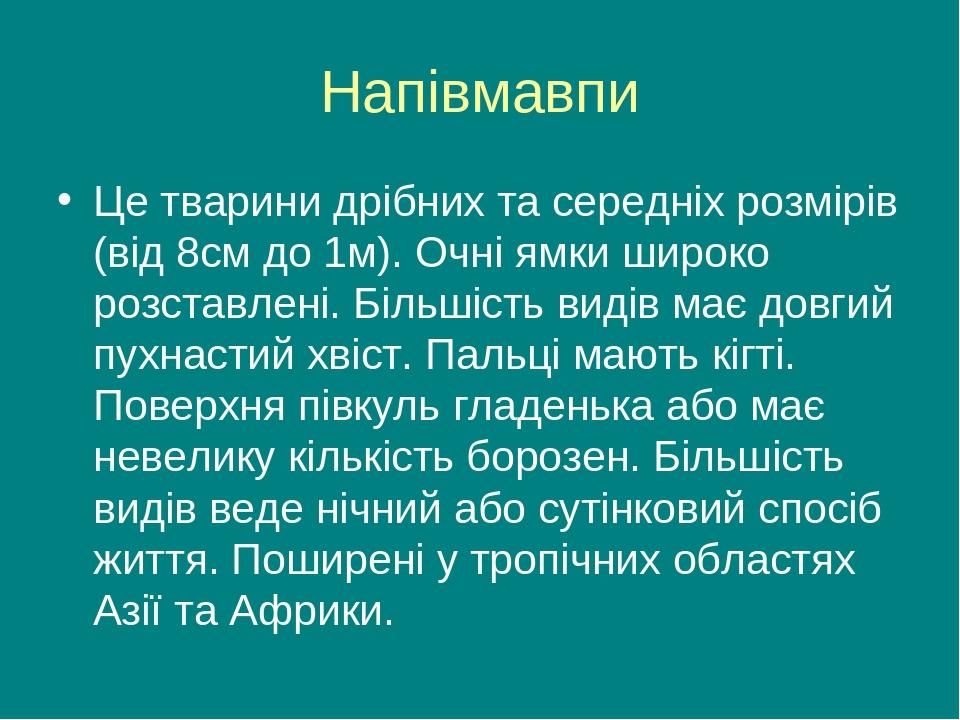 Напівмавпи Це тварини дрібних та середніх розмірів (від 8см до 1м). Очні ямки широко розставлені. Більшість видів має довгий пухнастий хвіст. Пальц...