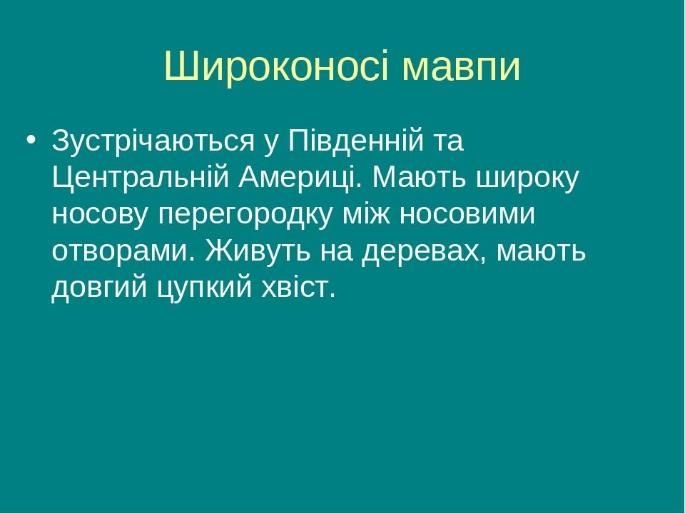 Широконосі мавпи Зустрічаються у Південній та Центральній Америці. Мають широку носову перегородку між носовими отворами. Живуть на деревах, мають ...