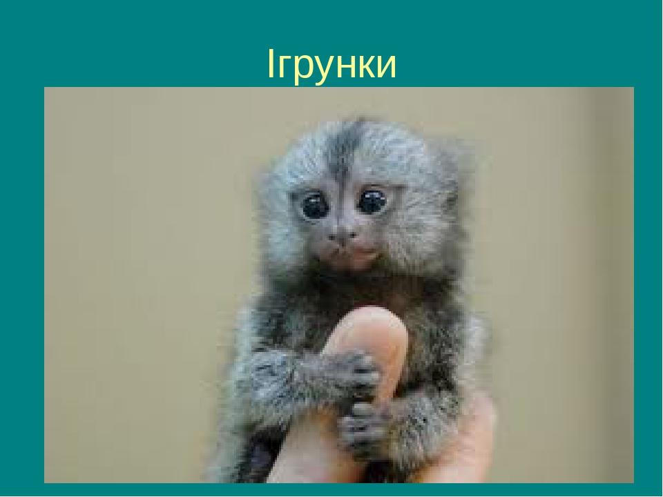 Ігрунки
