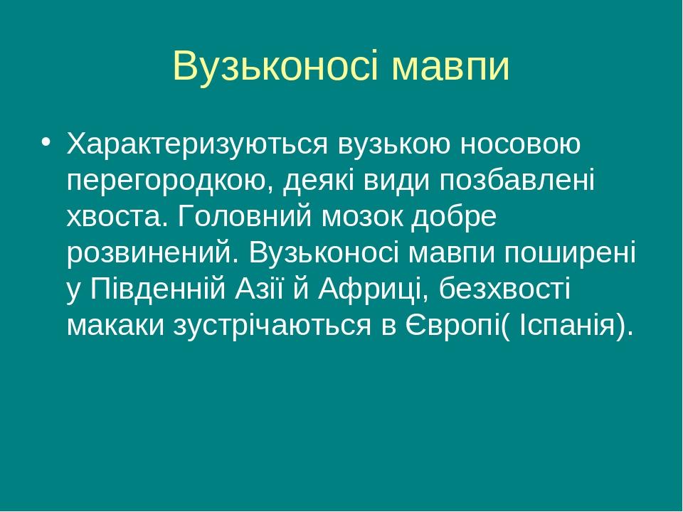 Вузьконосі мавпи Характеризуються вузькою носовою перегородкою, деякі види позбавлені хвоста. Головний мозок добре розвинений. Вузьконосі мавпи пош...