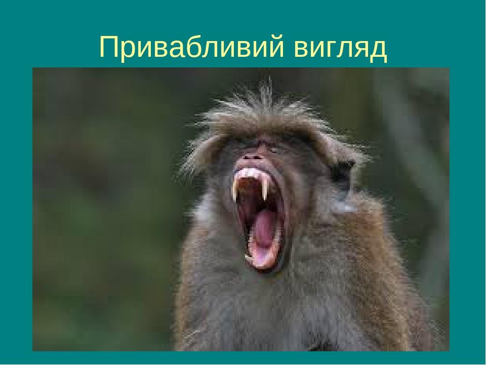 Привабливий вигляд