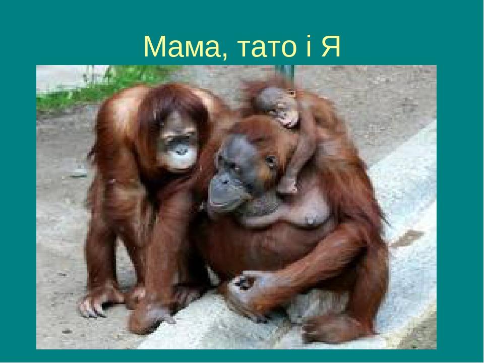 Мама, тато і Я