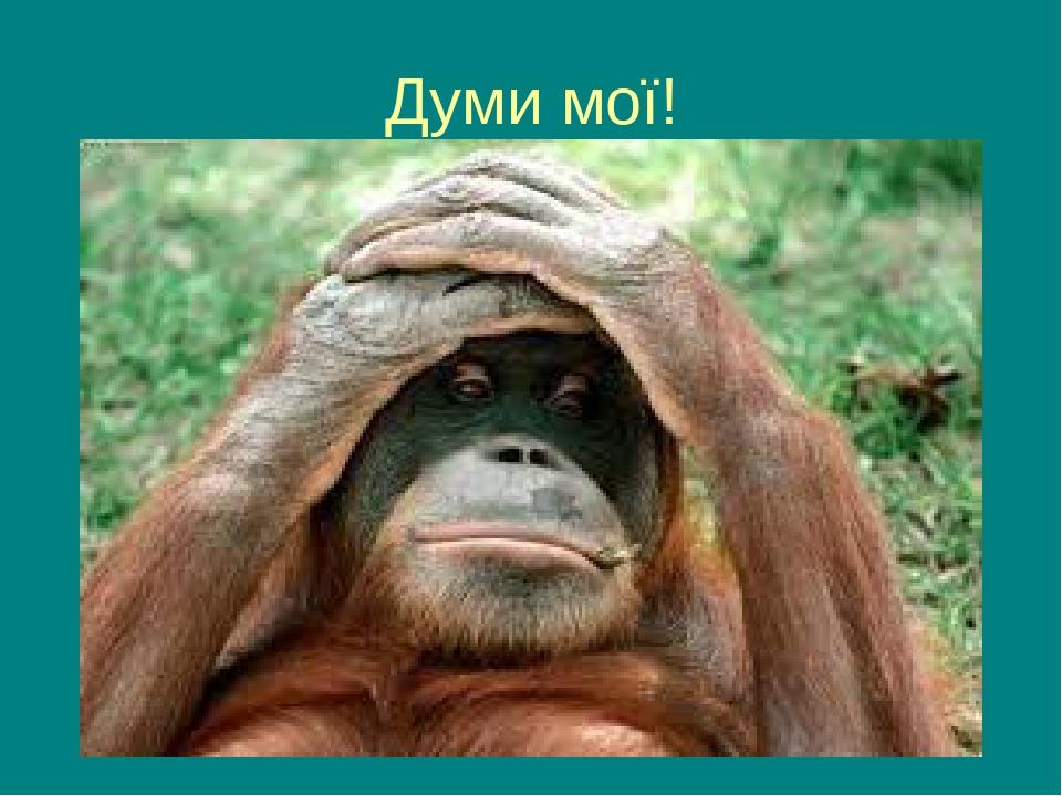 Думи мої!
