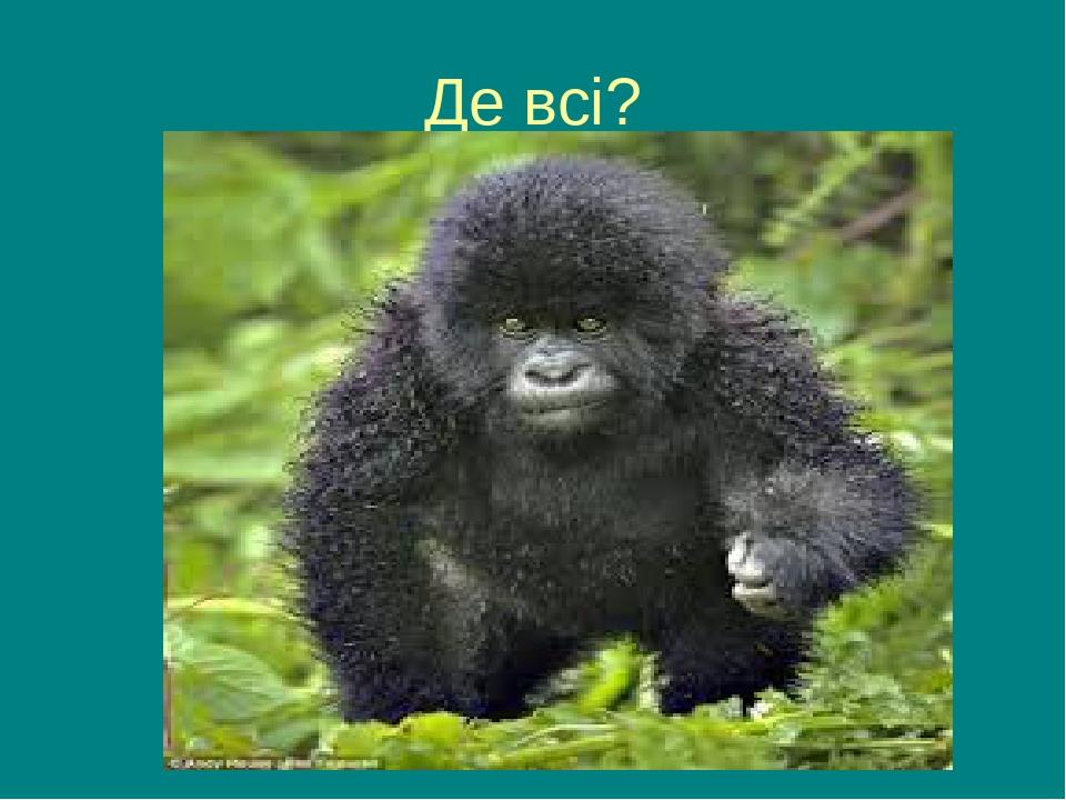 Де всі?