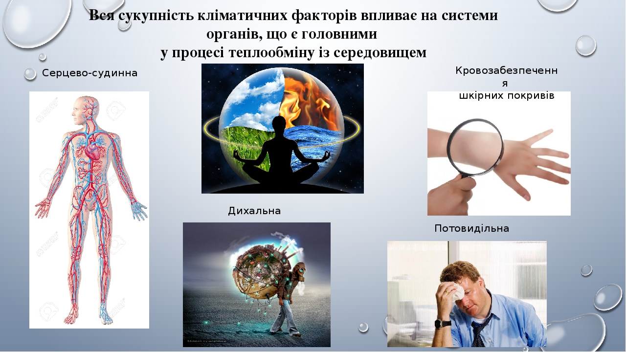 Вся сукупність кліматичних факторів впливає на системи органів, що є головними у процесі теплообміну із середовищем Кровозабезпечення шкірних покри...