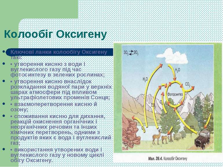 Реферат: Оксиген Кисень