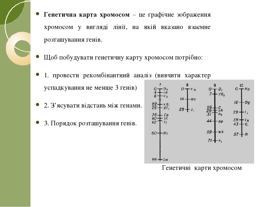 Секвенсовая карта хромосом