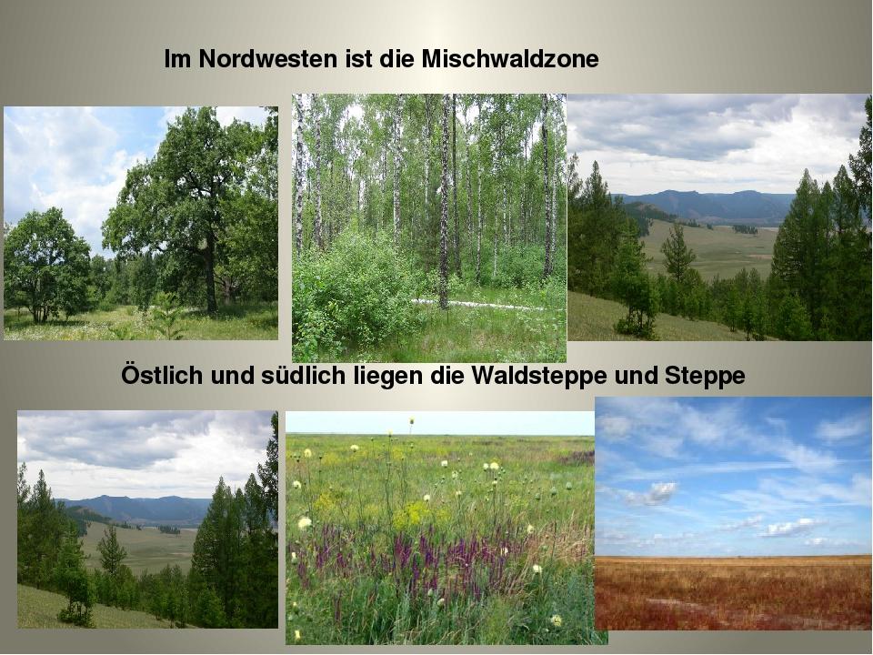 Im Nordwesten ist die Mischwaldzone Östlich und südlich liegen die Waldsteppe und Steppe