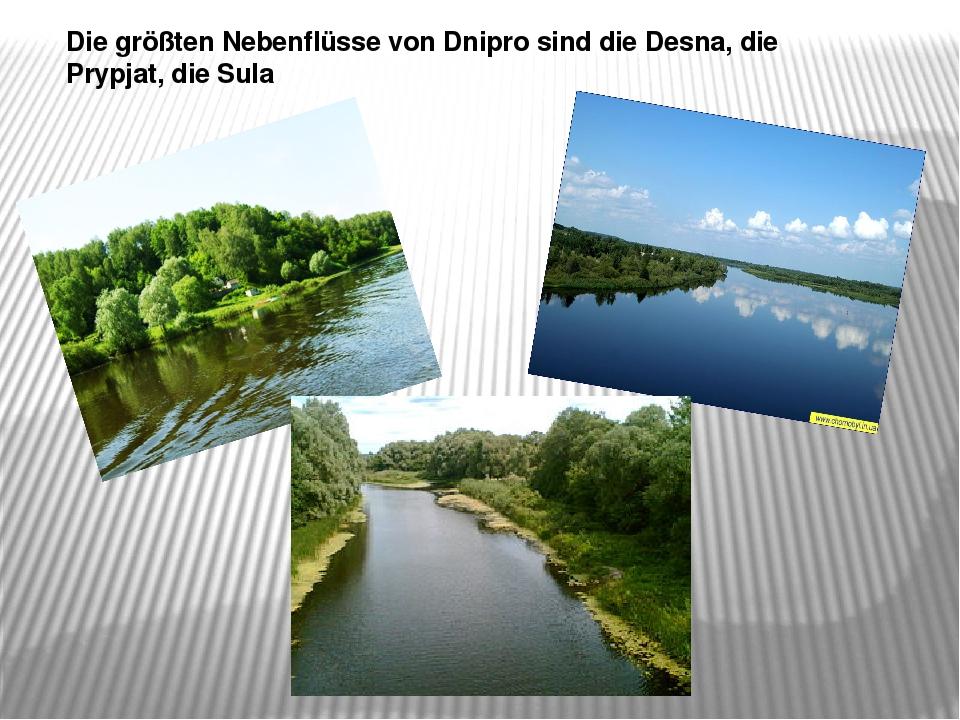 Die größten Nebenflüsse von Dnipro sind die Desna, die Prypjat, die Sula