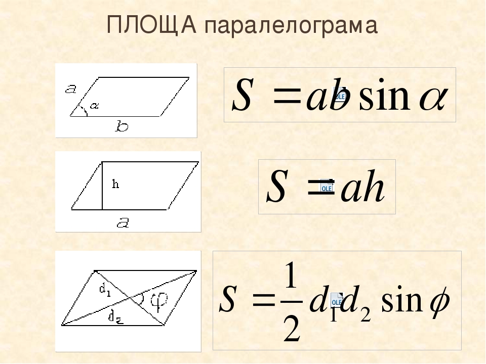 Площа прямокутника, паралелограма, квадрата.