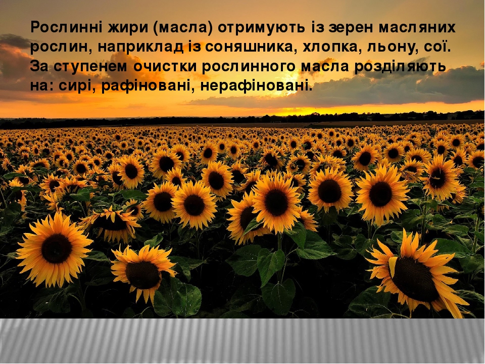 Рослинні жири (масла) отримують із зерен масляних рослин, наприклад із соняшника, хлопка, льону, сої. За ступенем очистки рослинного масла розділяю...