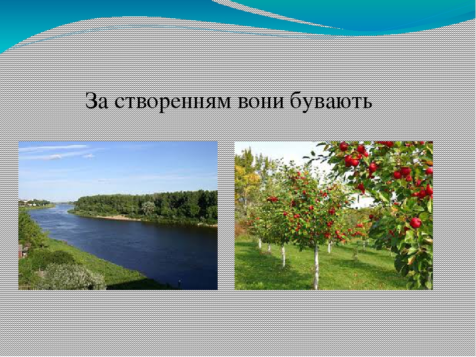 "Екосистема. Різноманітність екосистем"