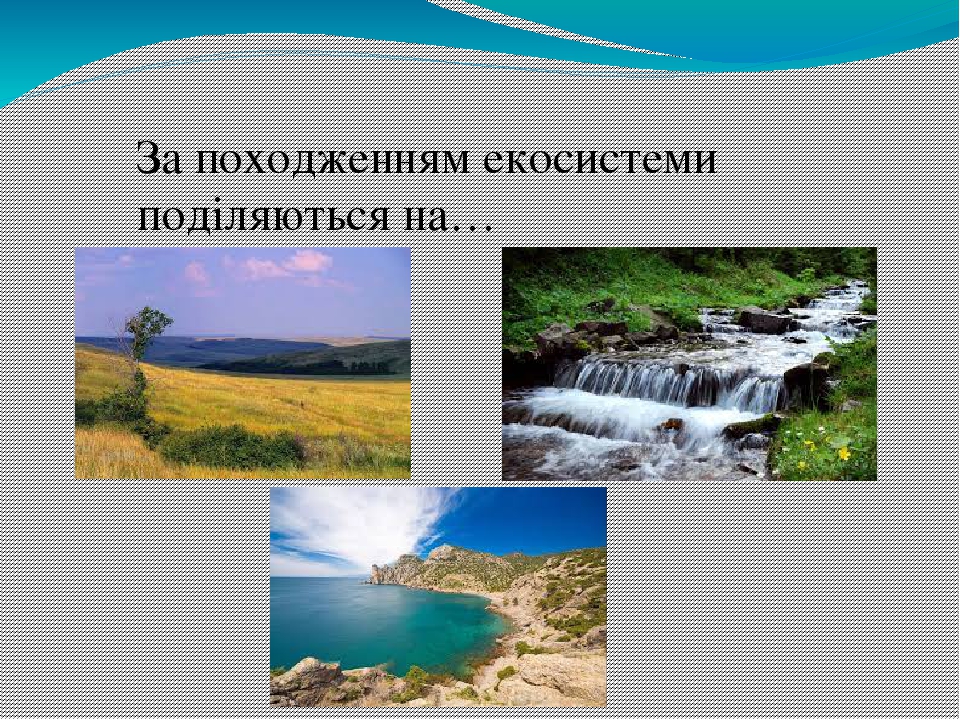 "Екосистема. Різноманітність екосистем"