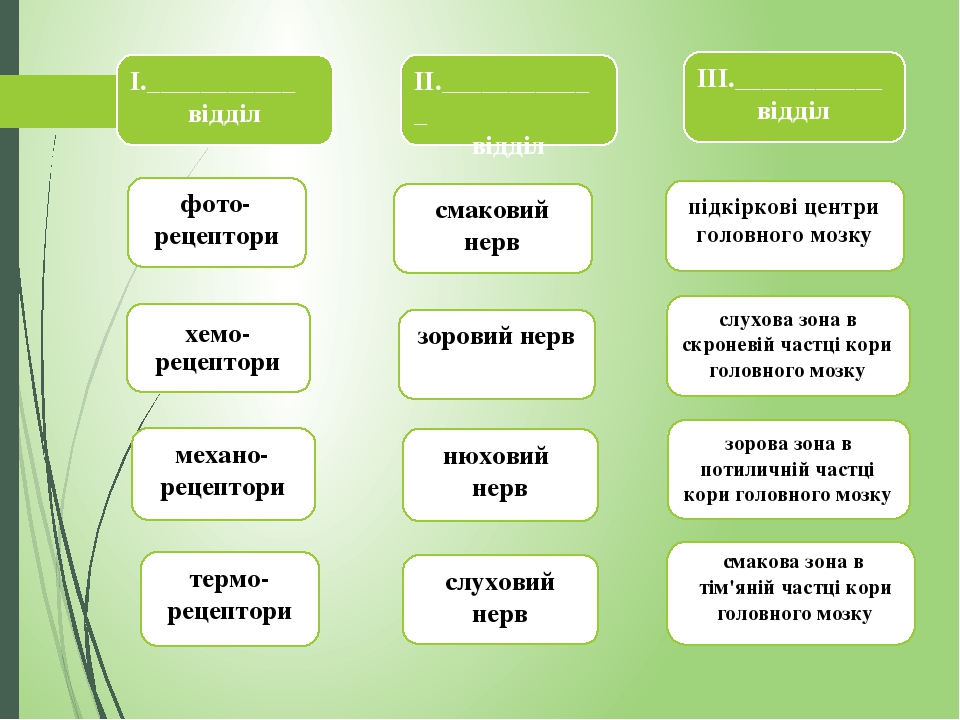 смакова зона в тім'яній частці кори головного мозку І.___________ відділ фото-рецептори зоровий нерв хемо-рецептори механо-рецептори ІІ.___________...