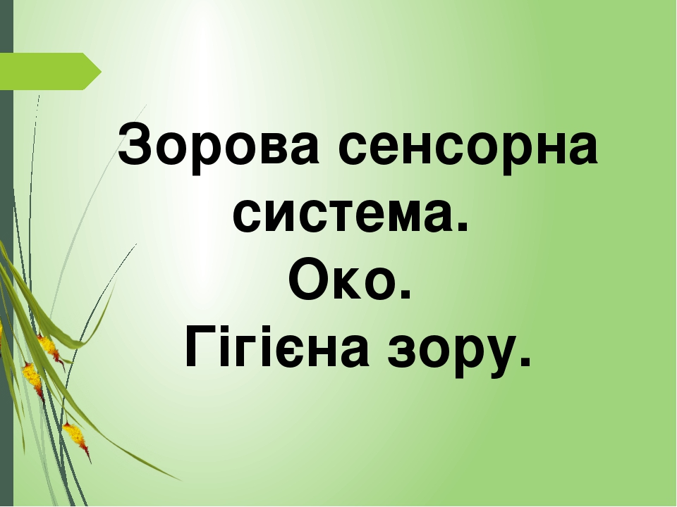 Зорова сенсорна система. Око. Гігієна зору.