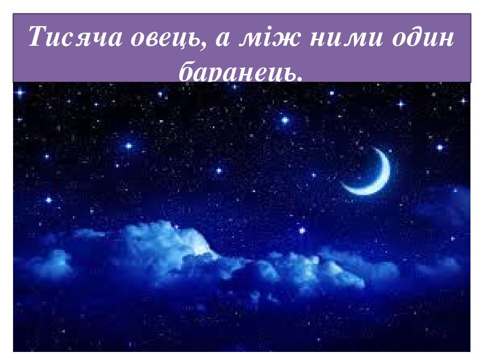 Тисяча овець, а між ними один баранець.