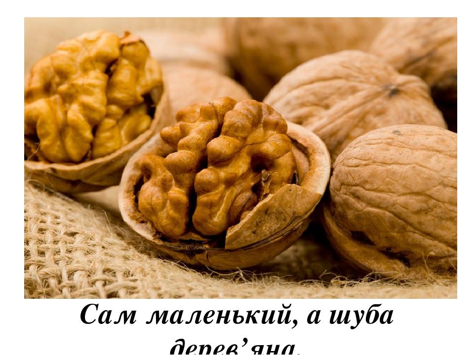 Сам маленький, а шуба дерев’яна.
