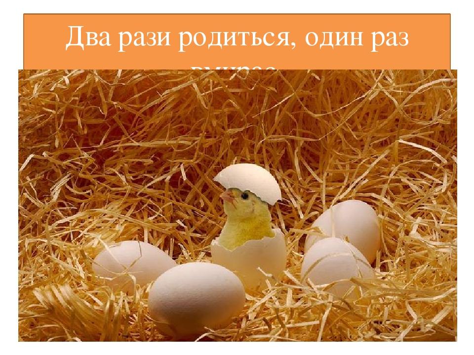 Два рази родиться, один раз вмирає.
