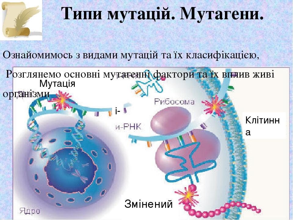 Типи мутацій. Мутагени. | Презентація. Біологія
