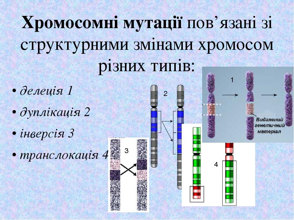 Типи мутацій. Мутагени. | Презентація. Біологія
