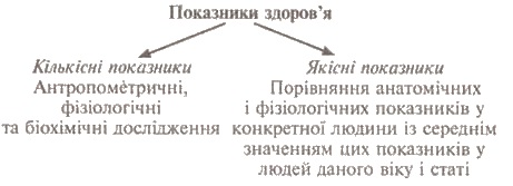 Реферат: Походження людини