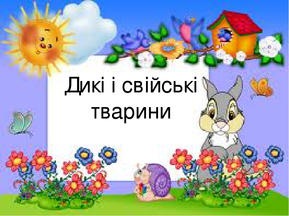 Презентація до уроку природознавства в 1 класі "Дикі і свійські ...