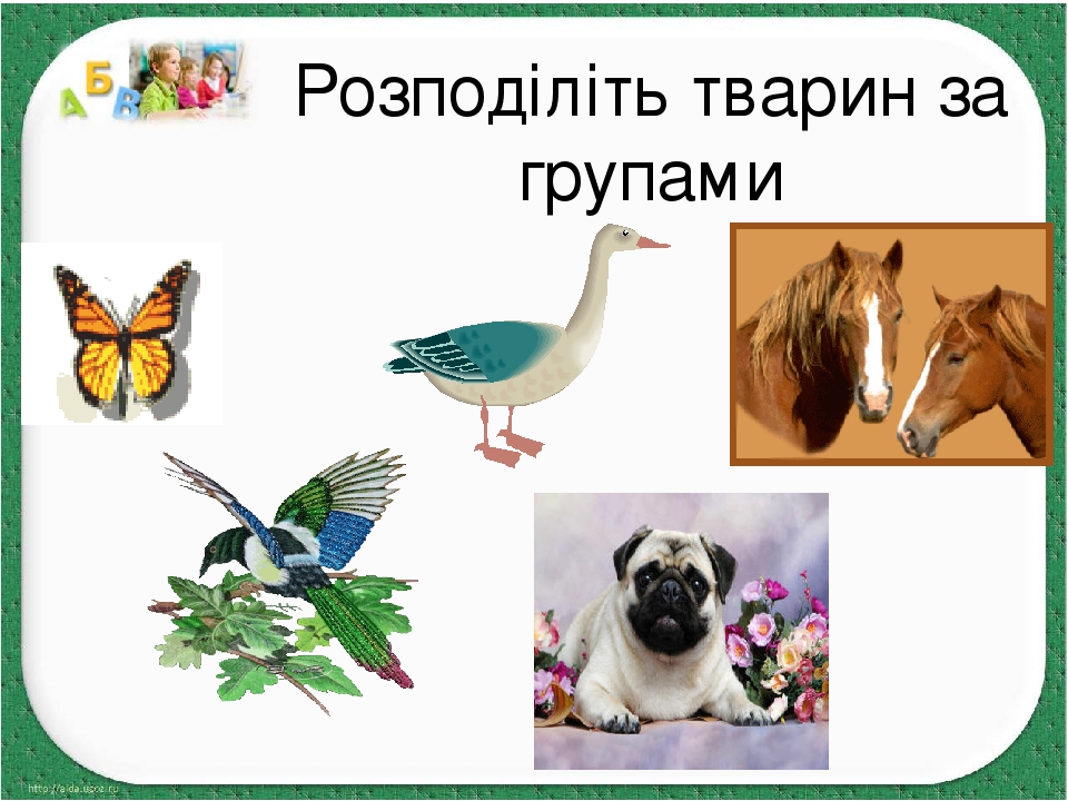 Презентація до уроку природознавства в 1 класі "Дикі і свійські ...