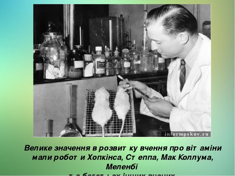 Велике значення в розвитку вчення про вітаміни мали роботи Хопкінса, Степпа, Мак Коллума, Меленбі  та багатьох інших вчених.