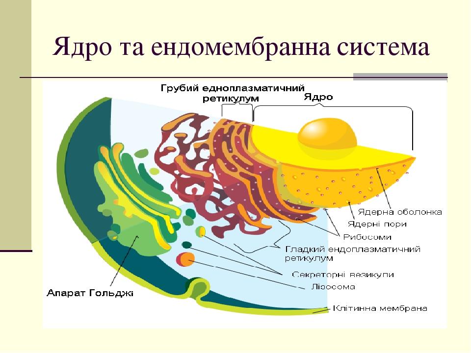 Нужно ли графическое ядро