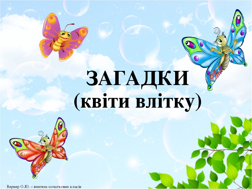 ЗАГАДКИ (квіти влітку) Вернер О.Ю. – вчитель початкових класів