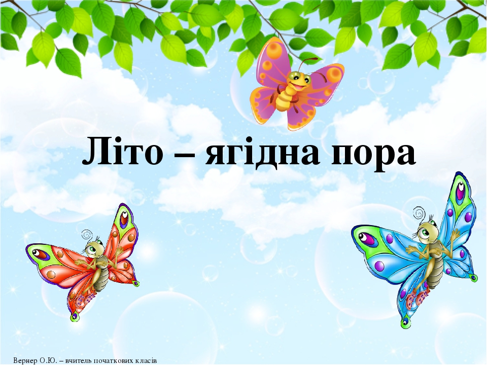 Літо – ягідна пора Вернер О.Ю. – вчитель початкових класів