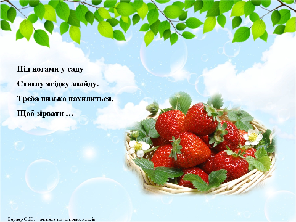 Під ногами у саду Стиглу ягідку знайду. Треба низько нахилиться, Щоб зірвати …  Вернер О.Ю. – вчитель початкових класів
