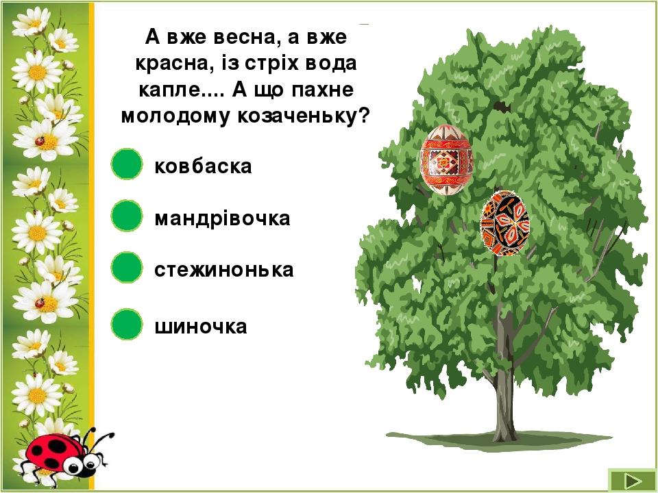 А вже весна, а вже красна, із стріх вода капле.... А що пахне молодому козаченьку? стежинонька мандрівочка ковбаска шиночка