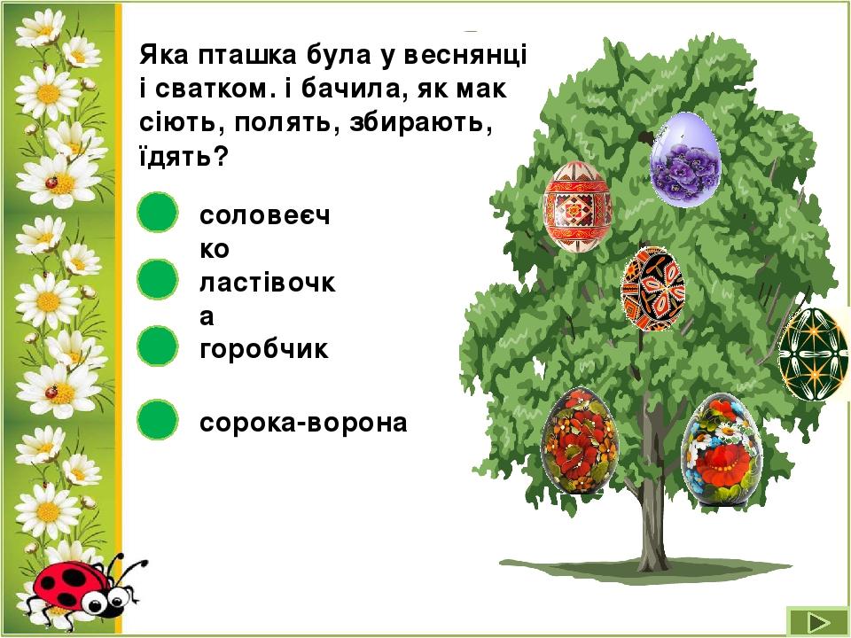 Яка пташка була у веснянці і сватком. і бачила, як мак сіють, полять, збирають, їдять? горобчик ластівочка соловеєчко сорока-ворона