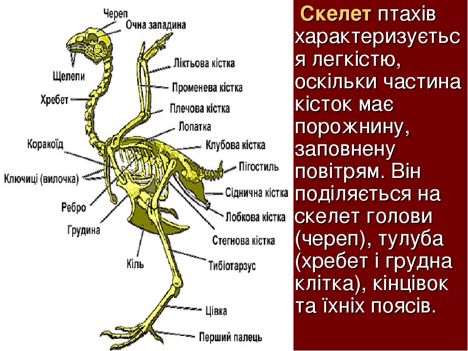 Лопатка в автомобиль